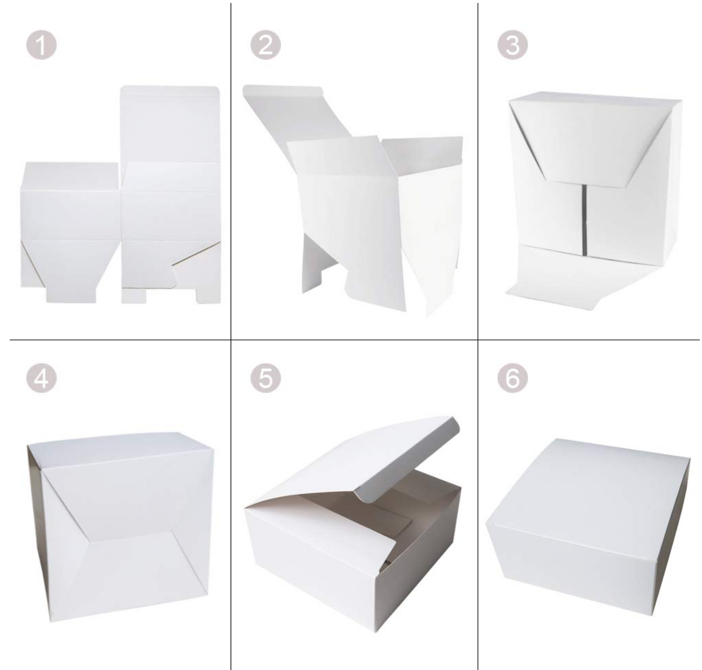 Just the Boxes LARGE with Flap Lid