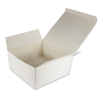 Just the Boxes LARGE  with Flap Lid